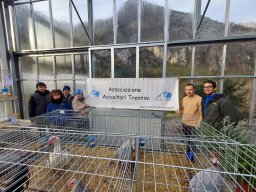 Mostra avicola 2024